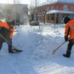 Взяли на себя уборку снега и клининг территорий